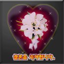 안심산길 이미지