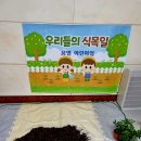 꿈별나무 네이버블로그