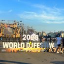 논산아레나 - 논산시 중앙로 387 | 2025 보령월디페 다녀온 리얼후기 한여름 밤의 EDM 파티