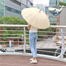 인스타 - 유성구 온천북로 8 | 인스타