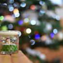 (12/10)크리스마스 캔들 이미지