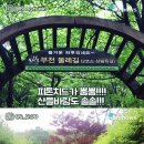 숲속에 바다 이미지