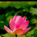 만물천하 이미지