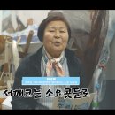 멸치후리는노래 이미지