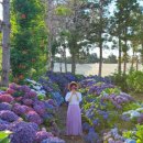 알음알음제주 이미지