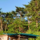 솔 펜션 이미지