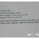 대니홍에이전시