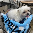 다모아세탁빨래방 이미지