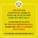 신천지 이미지