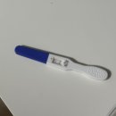 유림-1027 | 임신은 결코 쉬운 것이 아니다 : 엄마 사랑해요 ••• ♡ [~6주 차 후기]