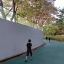 미이광