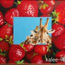 이진수지 이미지