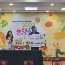 봄인디 보러와유 이미지