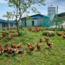 백운농장 이미지