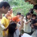 홍천농장 이미지