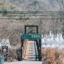 국내 겨울 여행지 추천 :: 대전, 봄이 오면 생각날 거예요 이미지