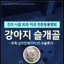 나음동물메디컬센터 이미지