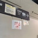 티앤티 | 대마도 배편 티앤티 부산에서 히타카츠 팬스타 쓰시마링크호 후기 짐보관