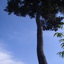 그림 그리기의 첫걸음 이미지