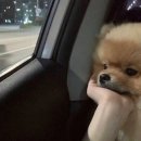 태산태권도장 | 네가 생각난단 ***