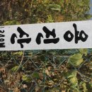 목포덕인고등학교 이미지