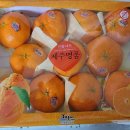 태양청과 이미지