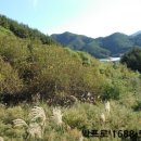 진부면사무소 이미지