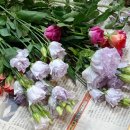 뭉구름 | 오늘일기 다시 시작 :: 먹부림과 다꾸, 스벅 프리퀀시~