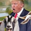 블랙큐브 이미지