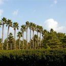 제주올레호텔 이미지