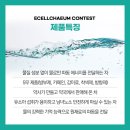 채움디자인 이미지
