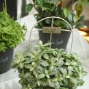 마이티농장 이미지