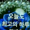 하루&도화