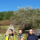 조류보호협회 밀양시지회 이미지