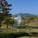 녹색도시로
