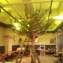 펄스온 생명공학 이미지