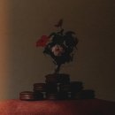 에덴음악학원 이미지