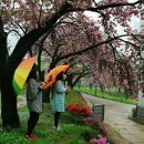 월곡역사공원 이미지