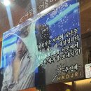 이월육일 | 신사 술집 / 안주 맛집 : 이월육일 솔직후기