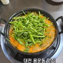 버섯이랑 칼국수랑 | 대전 용운동 맛집｜황씨 버섯 샤브샤브칼국수 동네 맛집 솔직 방문후기