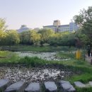 한밭수목원 이미지