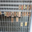 청기와체육교실 이미지