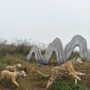 숲속향기생태어린이집 | 의령여행 한우산 생태숲홍보관 1시간 등산코스 후기