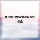 루바토 네이버블로그