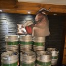 코젤다크하우스 | 영등포 맥주집 코젤다크하우스 방문 후기 코젤다크 맛집 인정