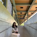 호수로126번길 | 융프라우 운수좋은날..😭 신라면 못 먹고 VIP패스 날림, 그린델발트터미널 짐보관