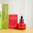 프롬제주 이미지