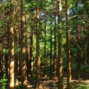 오름 스크린 골프 이미지