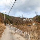 로로포레 이미지