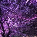 세림한정식(여수시청본점) | [W-06] 양가 부모님 첫인사 후기